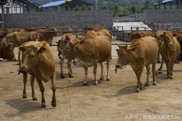 陜西特色小吃——西鄉牛肉干