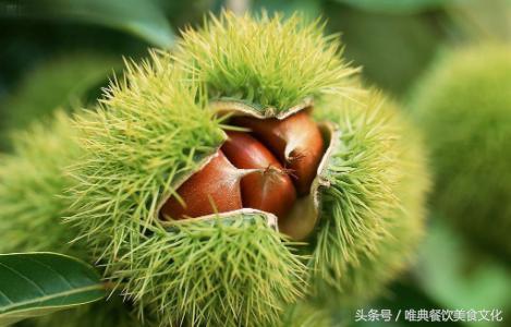 西安唯典小吃培訓(xùn)教您做陜菜——冰糖板栗泥