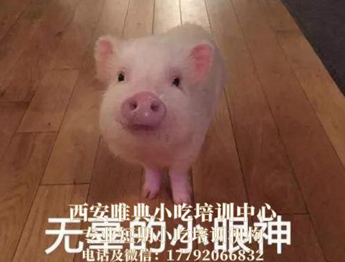 豬肉降價了，多少錢1斤？58歲屠夫告訴您最低價格，您覺得貴嗎？