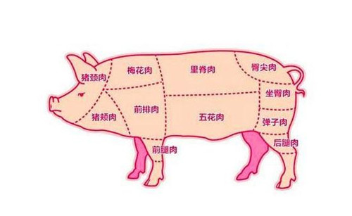 包餃子用豬肉哪個(gè)部位更好吃？為什么？