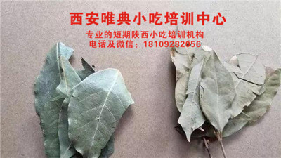 香葉.jpg