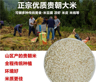 QQ瀏覽器截圖20200428132031.jpg